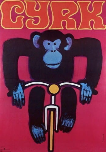 gorka szympans na rowerze.jpg
