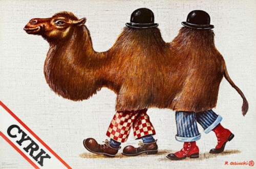 olbinski cyrk wielbłąd.jpg