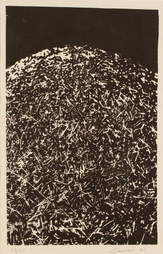 IMG_0305.jpeg
