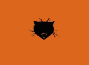 Koty Cats Aleksandra Waliszewska 