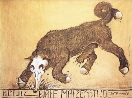 181B998A-B75B-42DA-922C-492C3AF7A97E