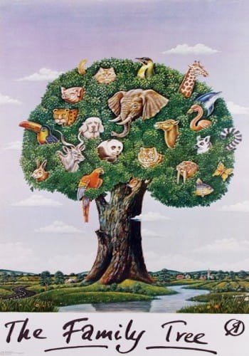 family tree olbinski.jpg